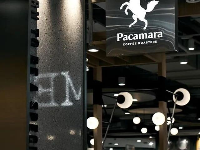 Подвесная вывеска Pacamara Coffee Roasters с логотипом-конём над полутёмным кафе с шарообразными лампами